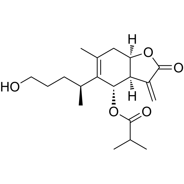 6-O-Isobutyrylbritannilactone 1259933-02-2